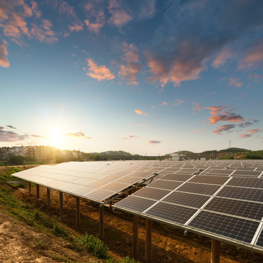 Placas solares del nogal